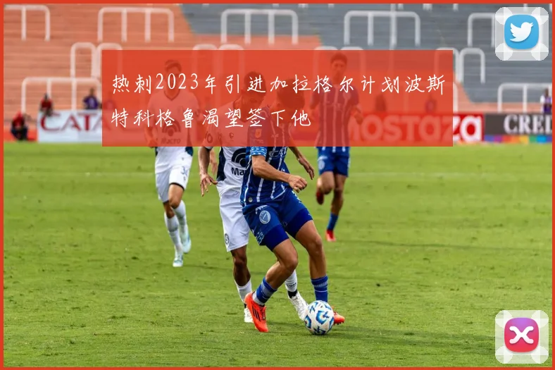 热刺2023年引进加拉格尔计划波斯特科格鲁渴望签下他