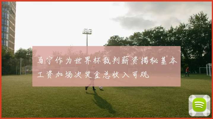 马宁作为世界杯裁判薪资揭秘基本工资加场次奖金总收入可观