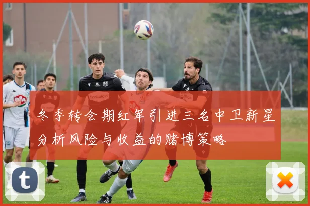 冬季转会期红军引进三名中卫新星分析风险与收益的赌博策略
