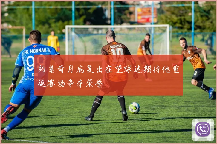 约基奇月底复出在望球迷期待他重返赛场争夺荣誉